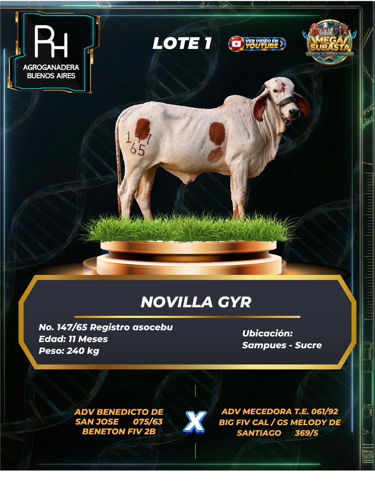 Lote 1