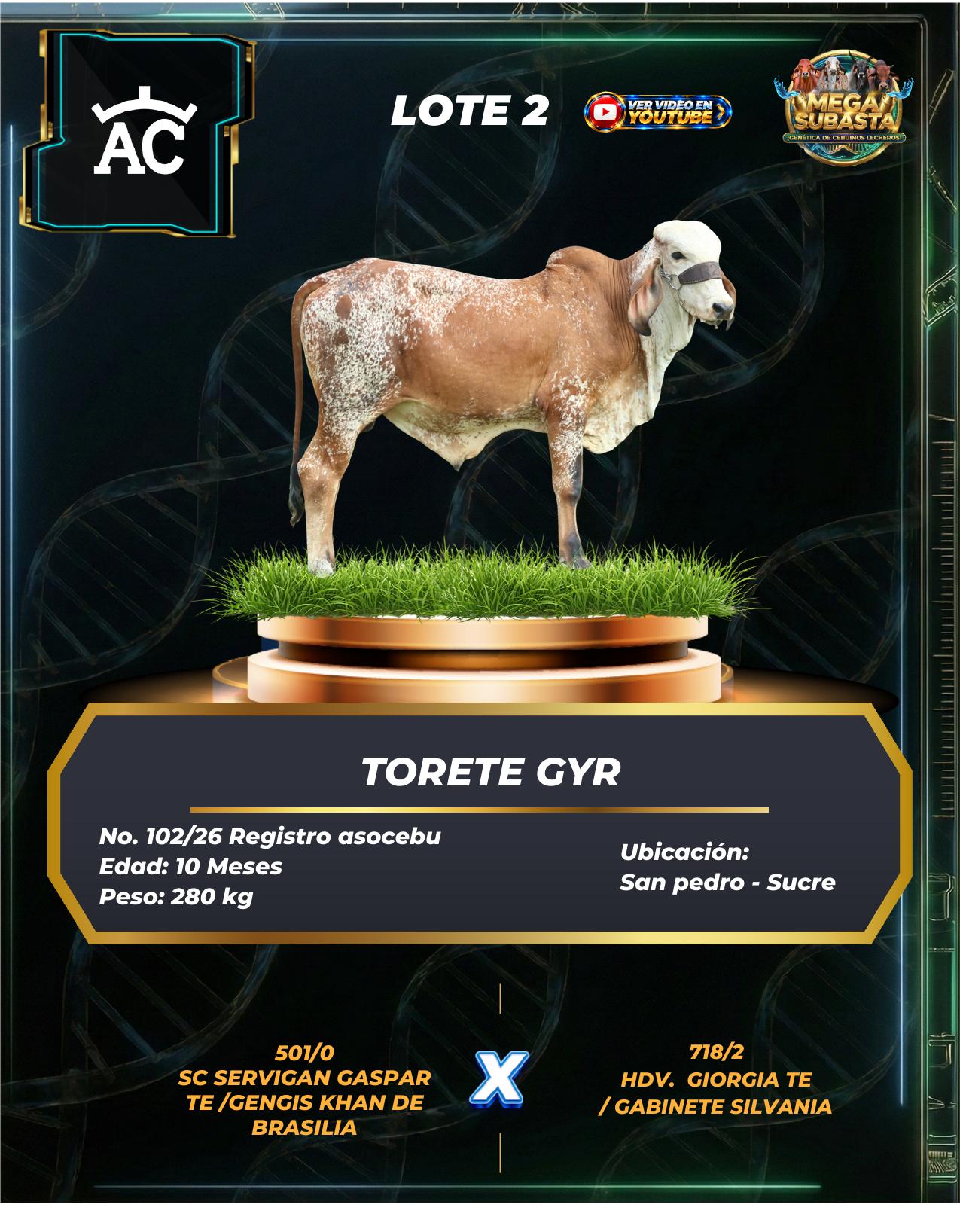 Lote 2