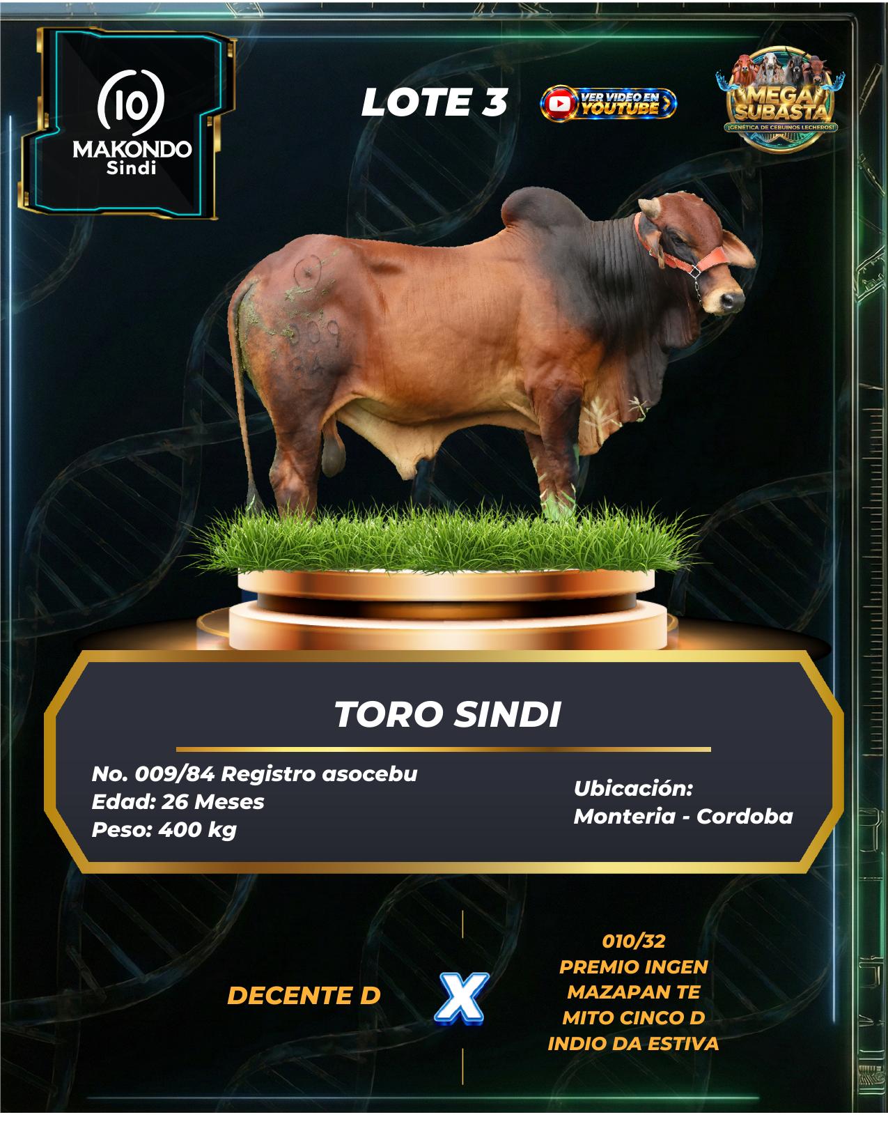 Lote 3