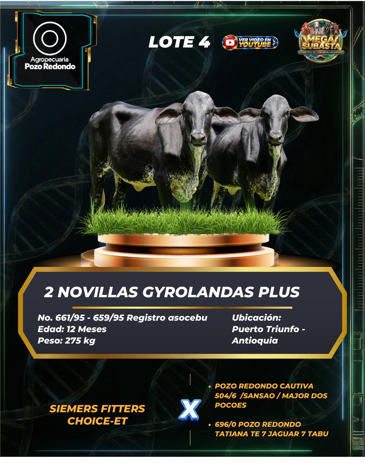 Lote 4