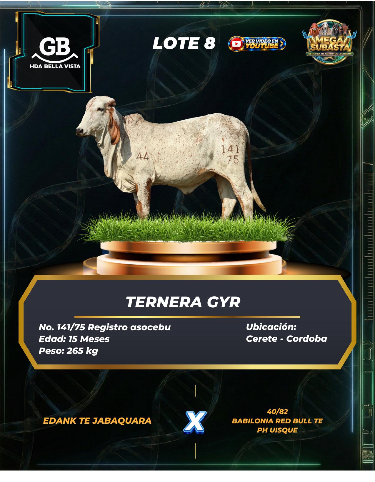 Lote 8