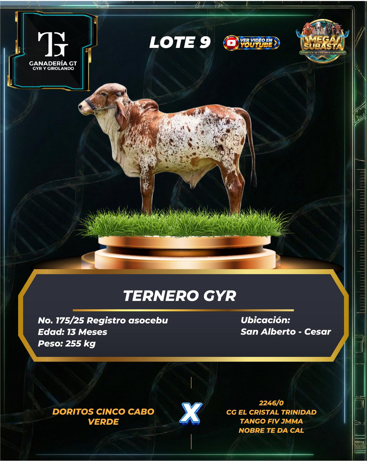 Lote 9