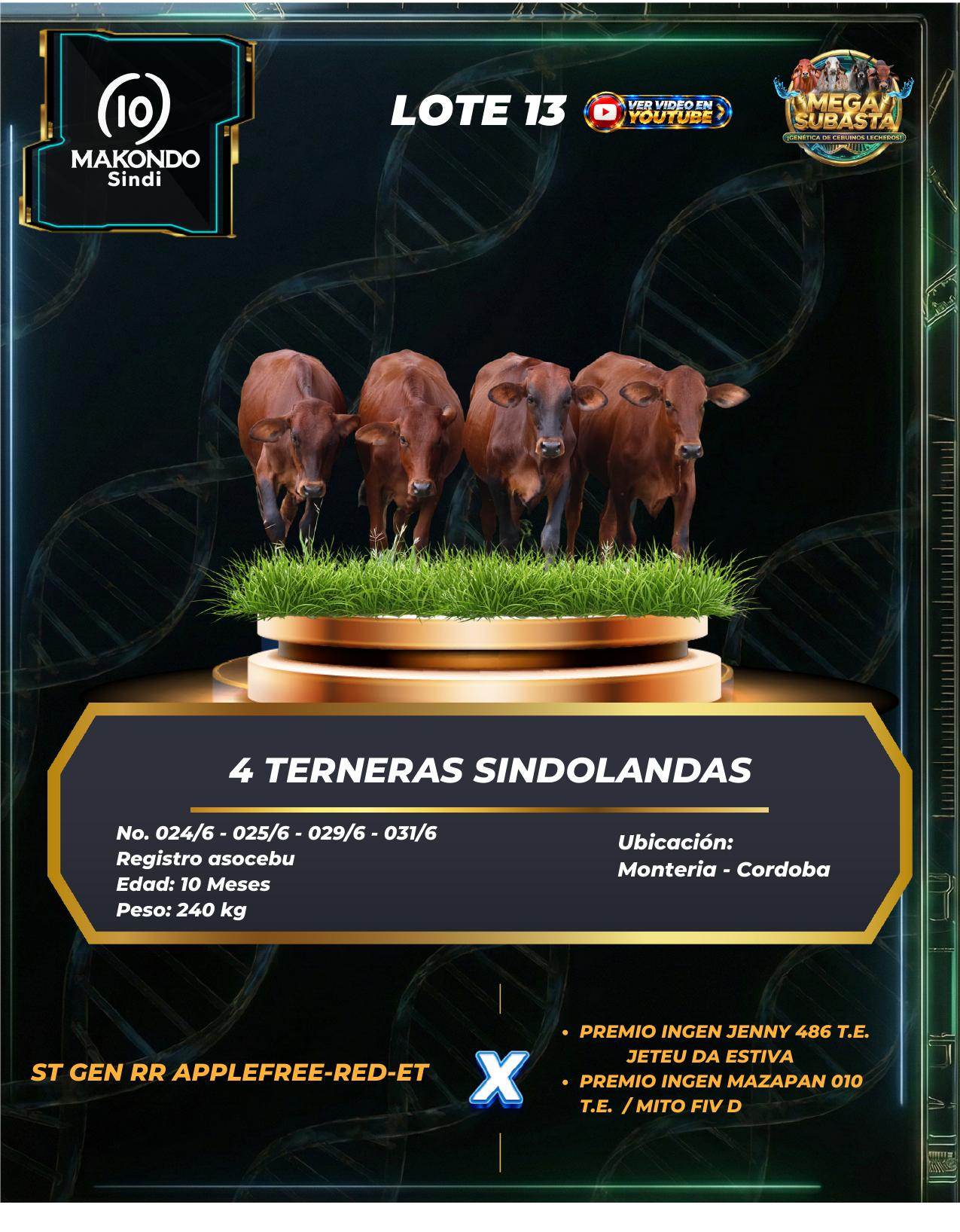 Lote 13