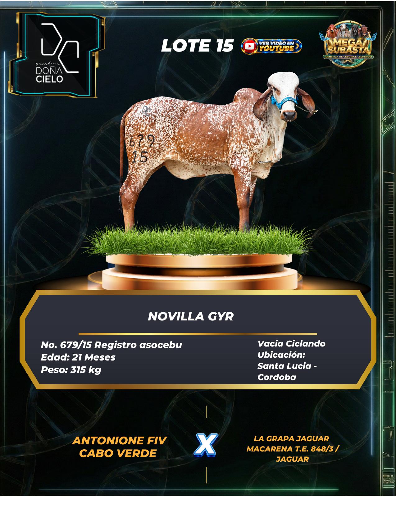 Lote 15