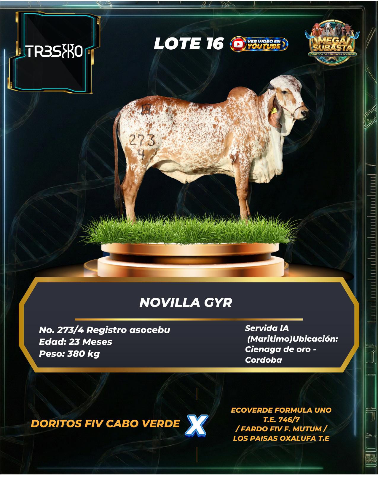 Lote 16