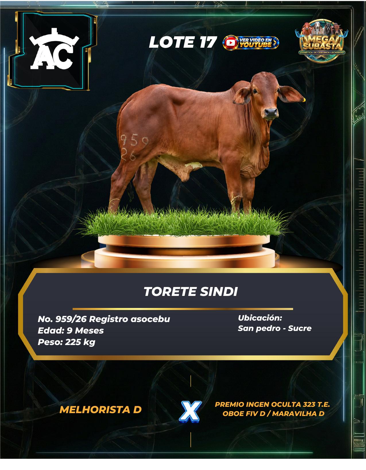 Lote 17