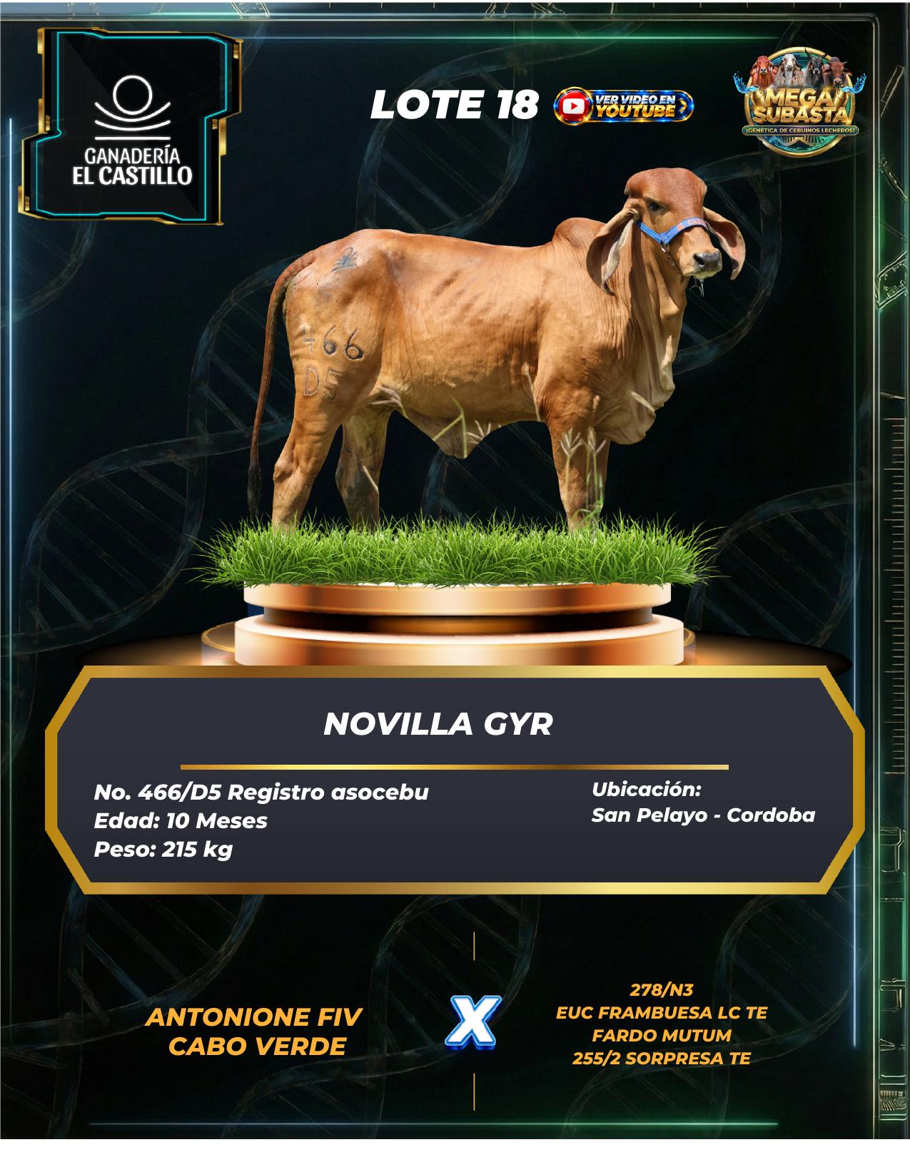 Lote 18