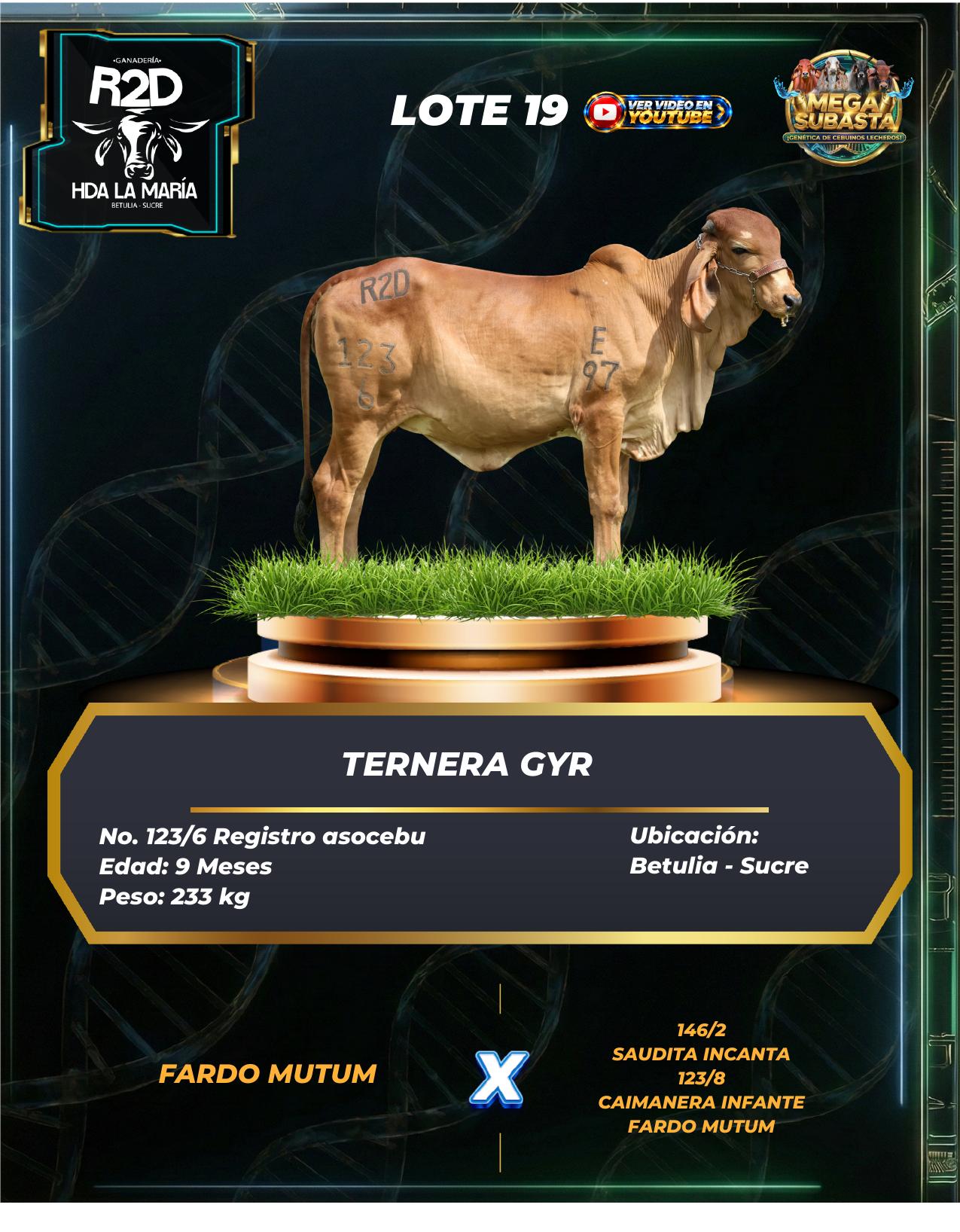 Lote 19