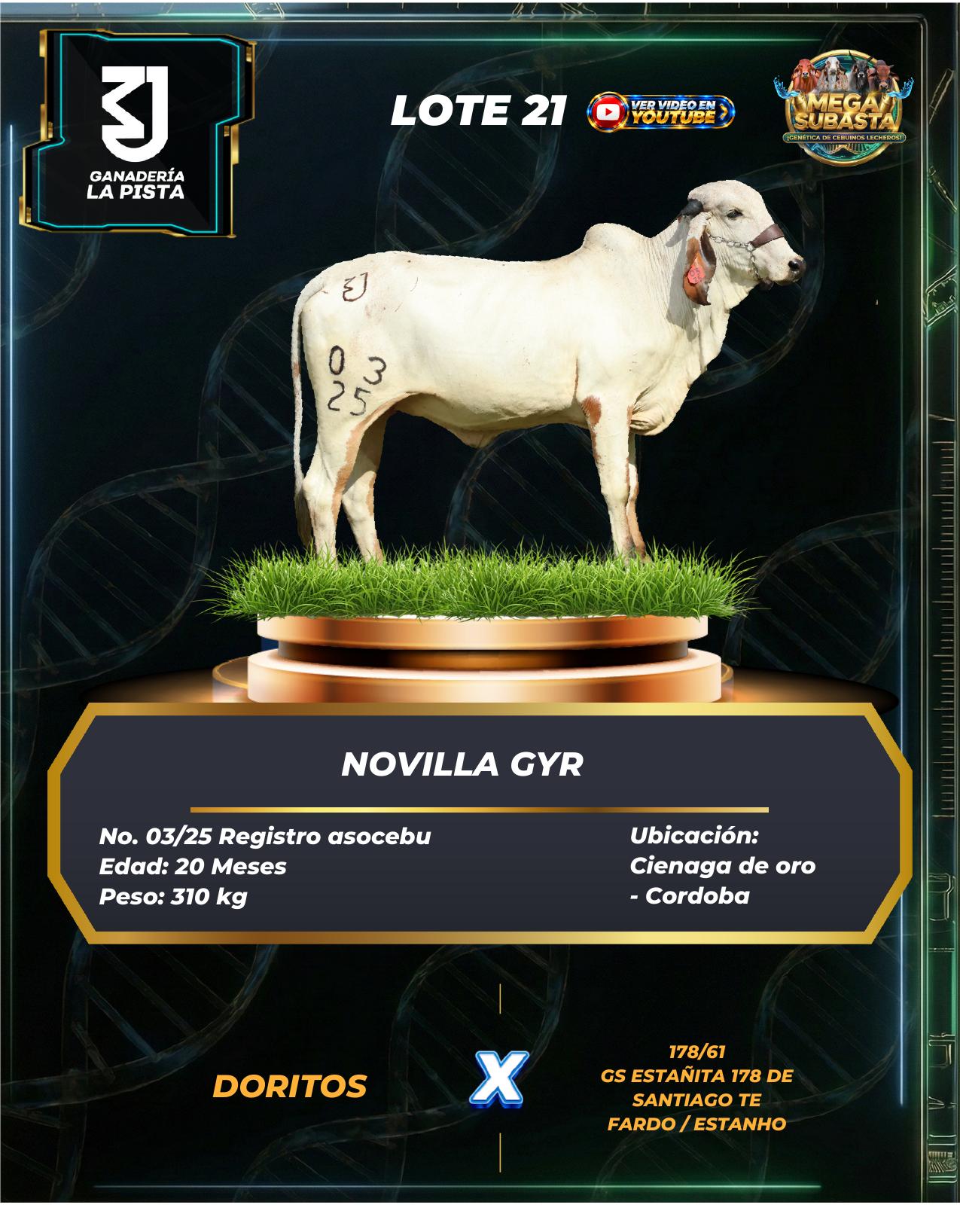 Lote 21