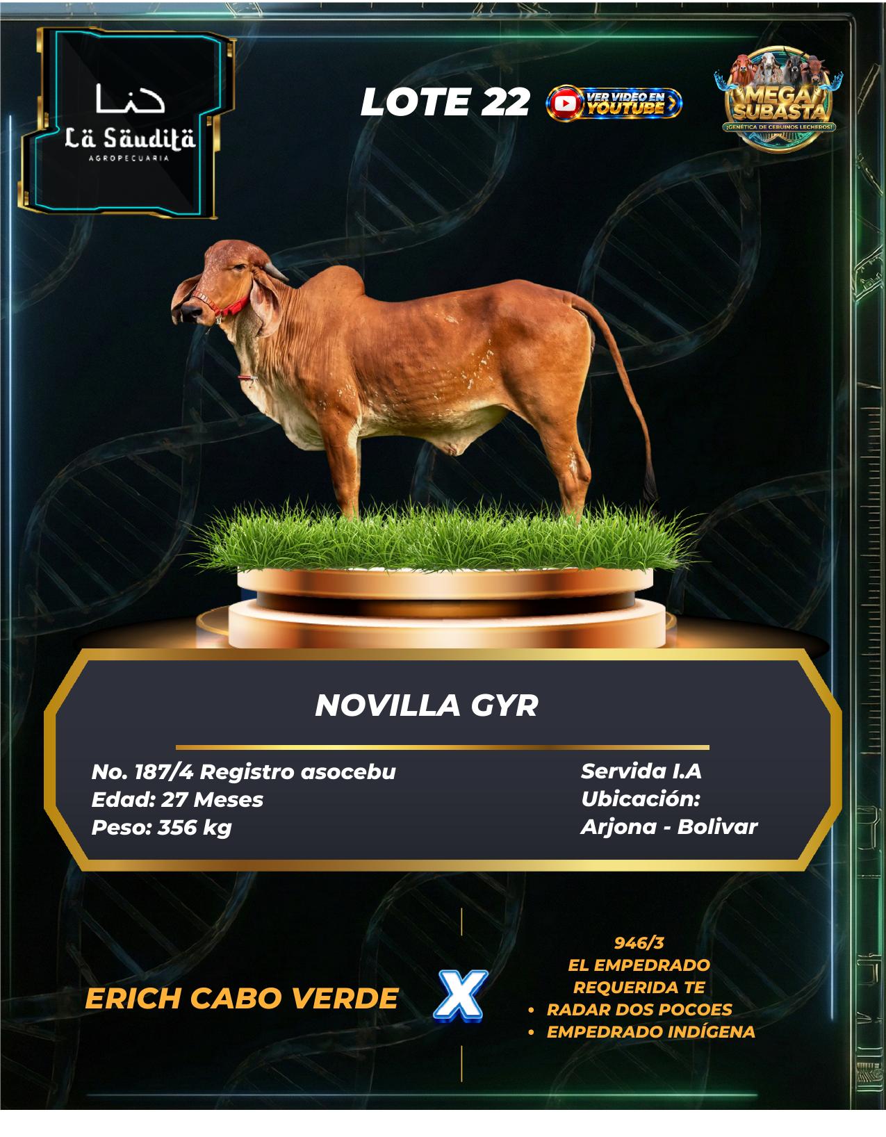 Lote 22