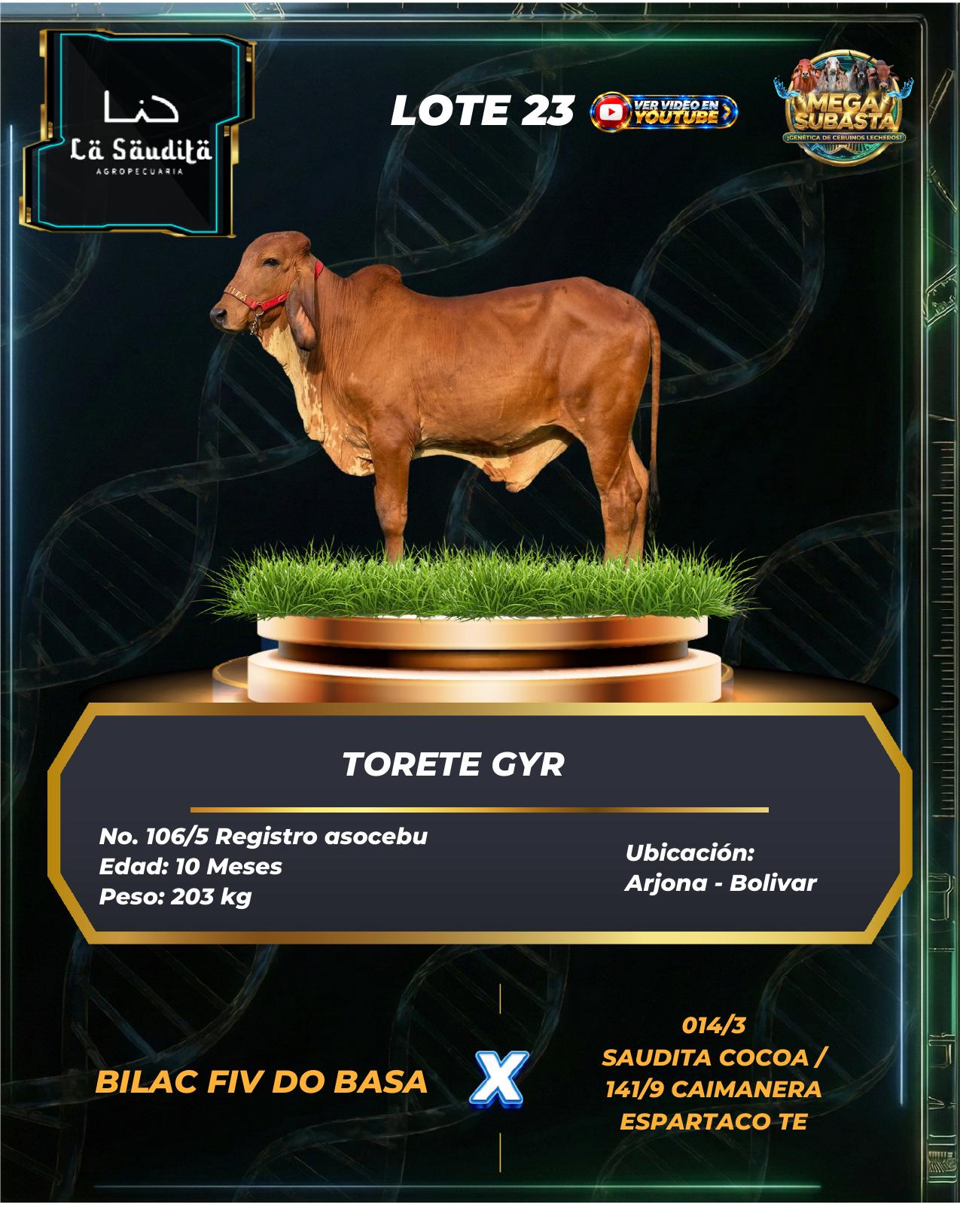 Lote 23