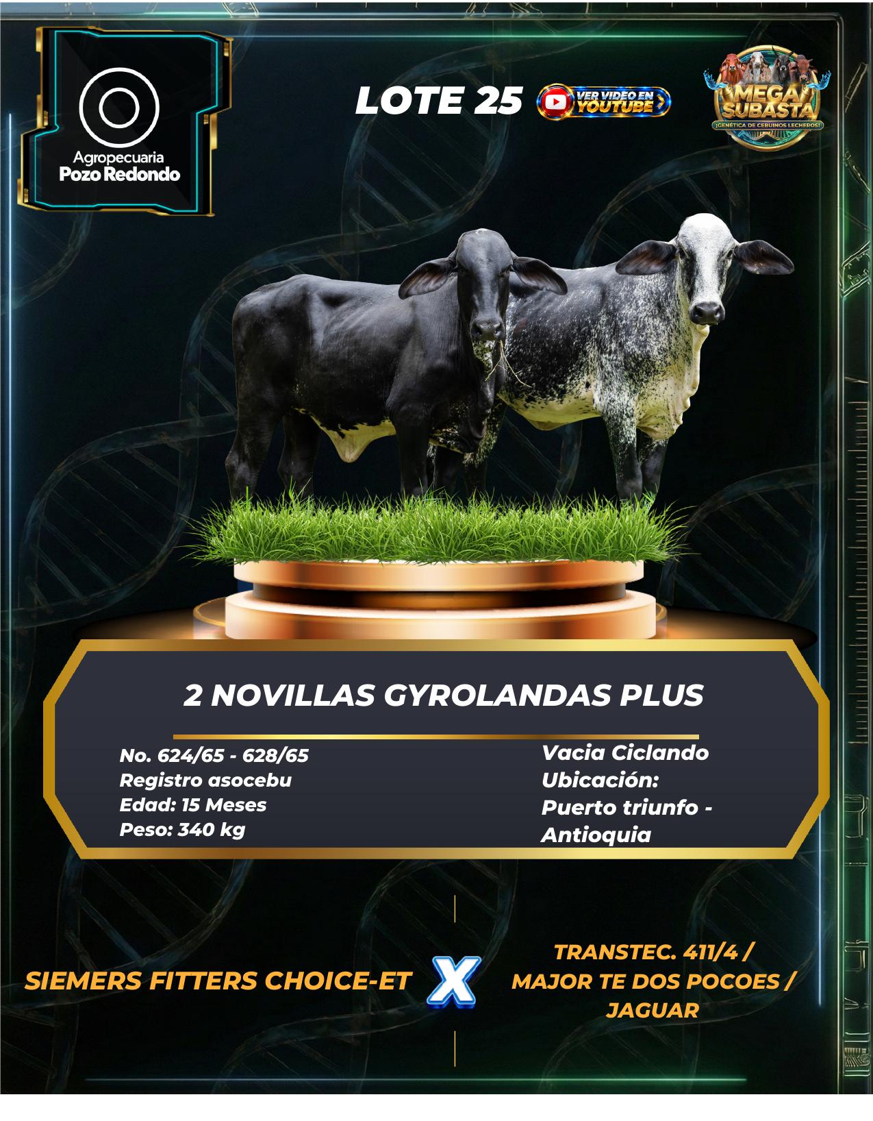 Lote 25