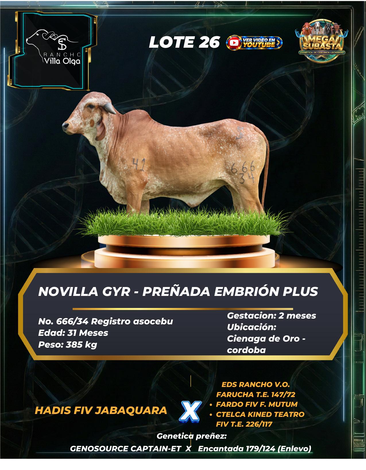 Lote 26