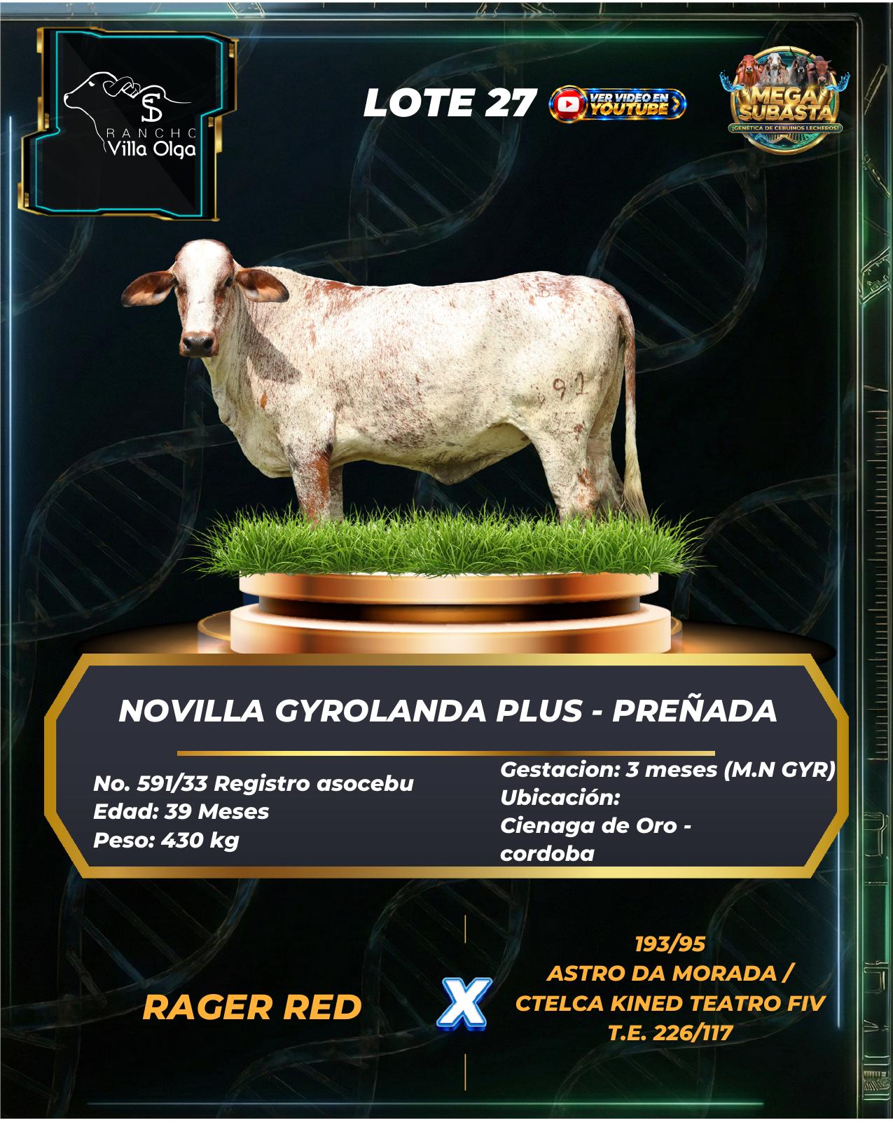 Lote 27