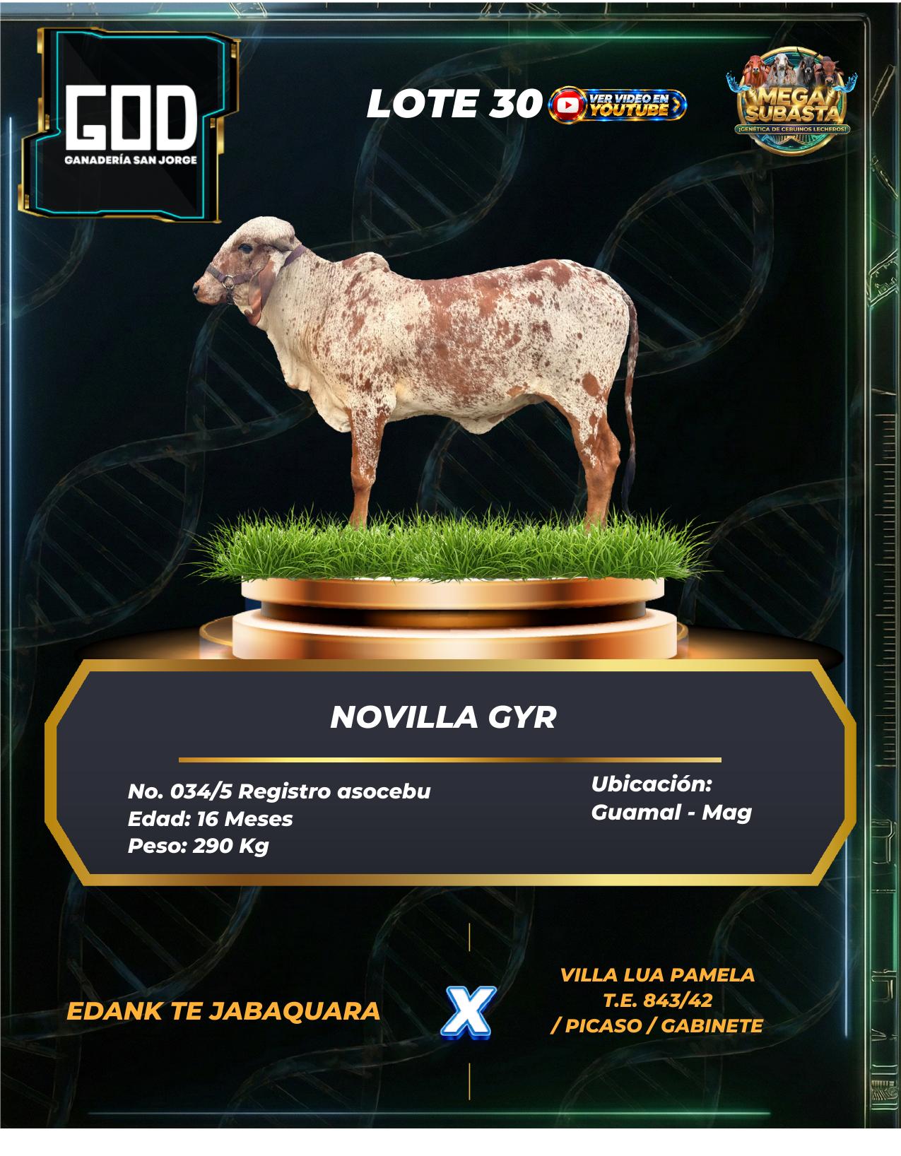 Lote 30